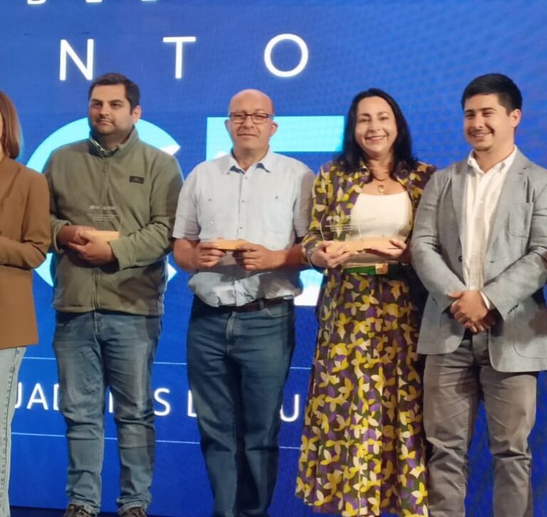 CELEBRAMOS A LOS EMBLEMAS TURÍSTICOS DE ÑUBLE