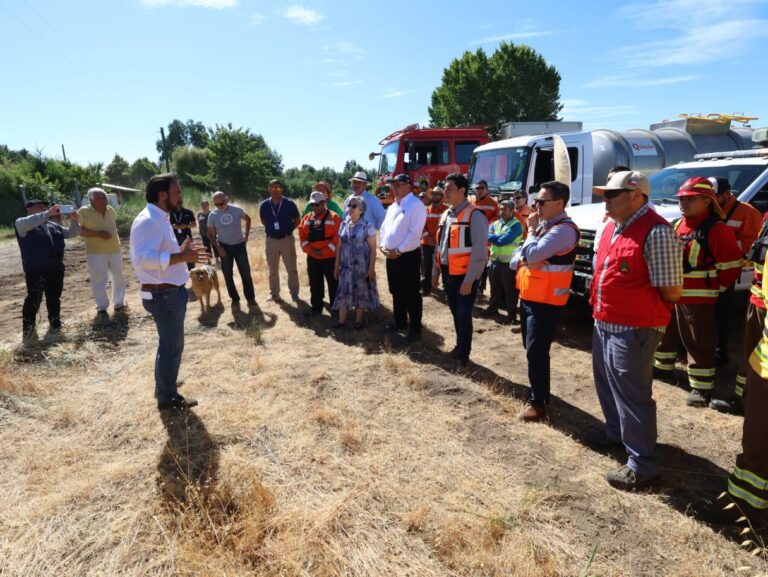 CONTINÚAN TRABAJOS REGIONALES DE CORTAFUEGOS EN QUILLÓN