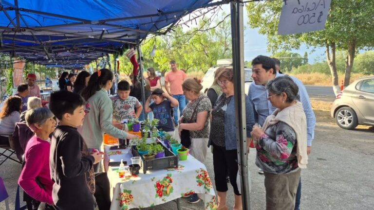 EXITOSA FERIA NAVIDEÑA Y MUESTRA DE EMPRENDIMIENTOS LOCALES EN CHILLANCITO