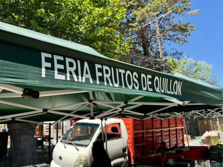 INAUGURAMOS LOS NUEVOS TOLDOS DE LA SEGUNDA FERIA QUE RECIBE APORTES MUNICIPALES EN QUILLÓN