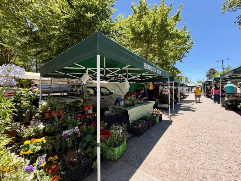 INAUGURAMOS LOS NUEVOS TOLDOS DE LA SEGUNDA FERIA QUE RECIBE APORTES MUNICIPALES EN QUILLÓN