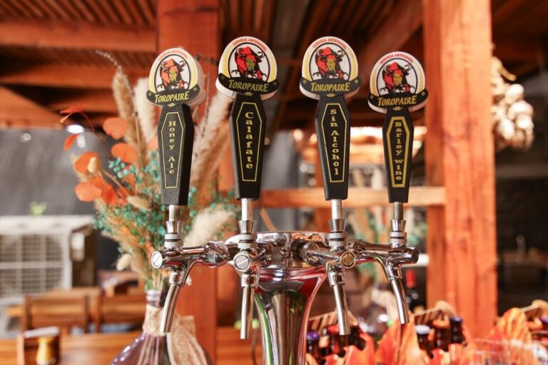 INAUGURAMOS LA BARRA CERVECERA TOROPAIRE EN RESTAURANT TRANQUE VIEJO DE QUILLÓN