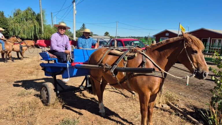 TRADICIONES RURALES QUE NOS UNEN EN QUILLÓN