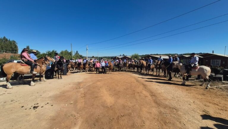 TRADICIONES RURALES QUE NOS UNEN EN QUILLÓN