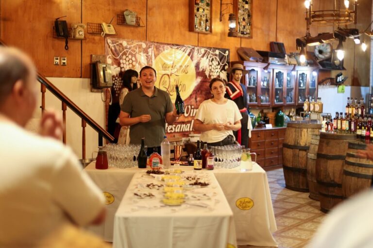 QUILLÓN PROYECTA SUS VINOS AL MUNDO CON VISITA INTERNACIONAL