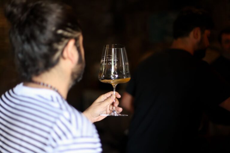 AUTORIDADES DE ITALIA Y CITTÀ DEL VINO VISITAN VIÑA LOMAS DE LLAHUÉN JUNTO A NUESTRO ALCALDE