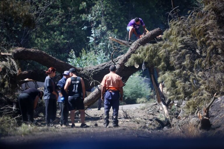 RUTA HABILITADA – INFORMACIÓN ACTUALIZADA