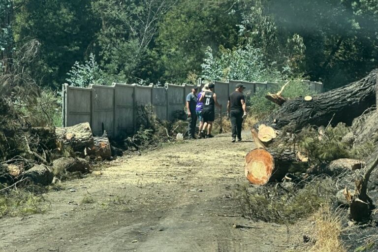RUTA HABILITADA – INFORMACIÓN ACTUALIZADA