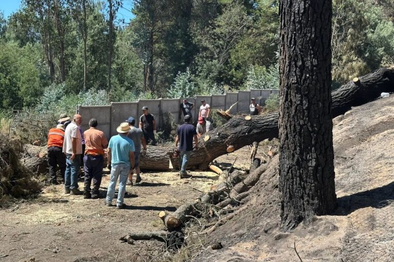 RUTA HABILITADA – INFORMACIÓN ACTUALIZADA