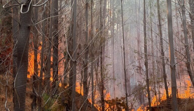 COMBATE DE INCENDIO EN SECTOR QUEIME, QUILLÓN