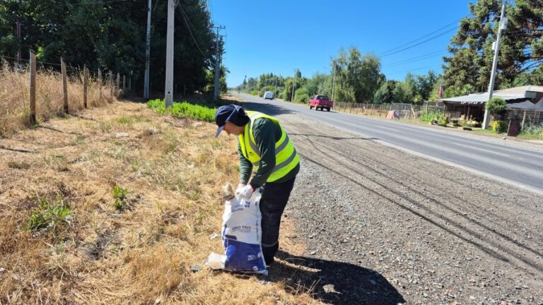 COORDINAMOS LIMPIEZA EN TRAMO DE LA RUTA N-48