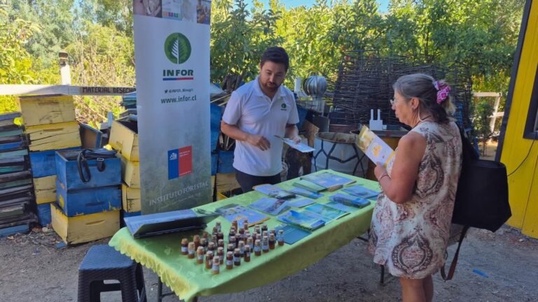 NOS REUNIMOS PARA FORTALECER LA APICULTURA TRAS LOS INCENDIOS