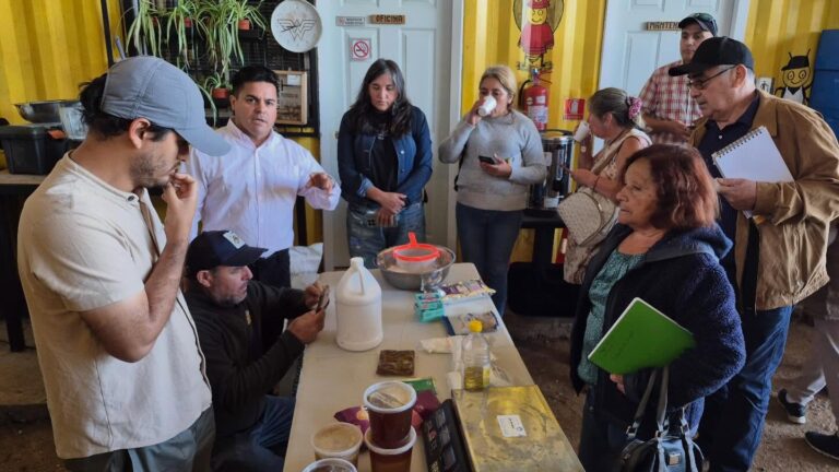NOS REUNIMOS PARA FORTALECER LA APICULTURA TRAS LOS INCENDIOS