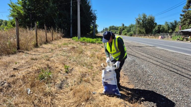 COORDINAMOS LIMPIEZA EN TRAMO DE LA RUTA N-48