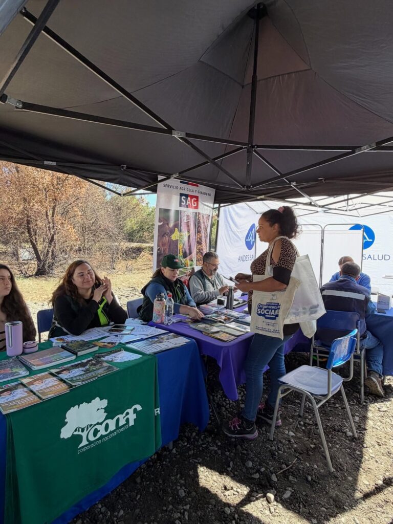 FERIA PROGRAMÁTICA ACERCÓ SERVICIOS A MUJERES DAMNIFICADAS DE ÑUBLE