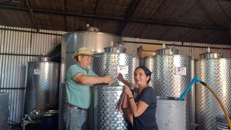 ORGULLO DE NUESTRA TIERRA: EL PRIMER ESPUMANTE DE CEREZA CORAZÓN DE PALOMA