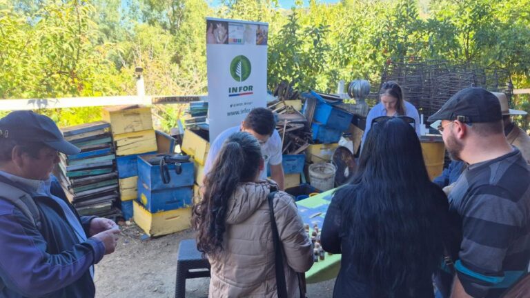 NOS REUNIMOS PARA FORTALECER LA APICULTURA TRAS LOS INCENDIOS