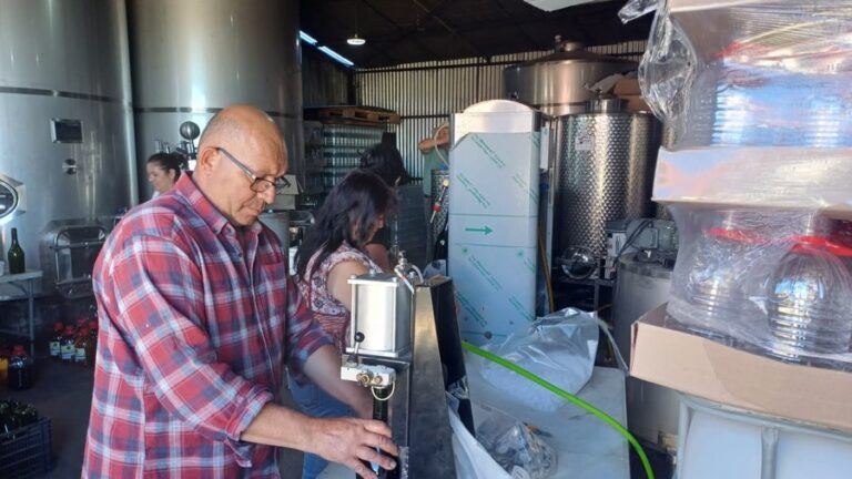 ORGULLO DE NUESTRA TIERRA: EL PRIMER ESPUMANTE DE CEREZA CORAZÓN DE PALOMA