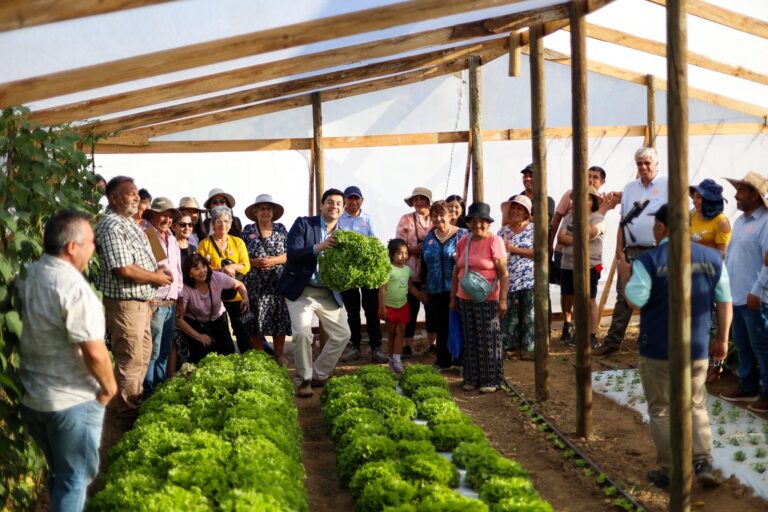 ¡Hito agrícola en Quillón! El futuro del campo se cultiva con tecnología y unidad