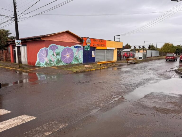 PRONTA RESPUESTA MUNICIPAL PERMITE RESTABLECER DISTINTOS SECTORES