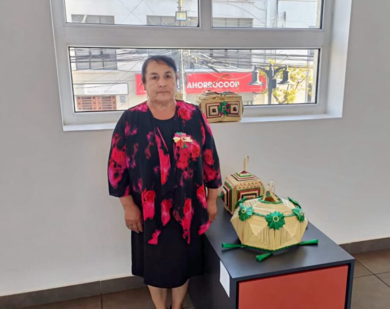 ORGULLO DE NUESTRA TIERRA PRESENTE EN MUESTRA NACIONAL DE ARTESANÍA EN CHILLÁN