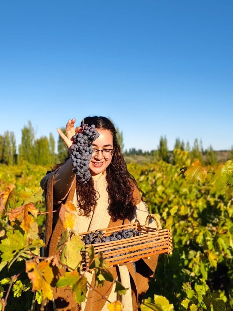 CONSTANZA DROGUETT MORALES, CANDIDATA REINA DE LA VENDIMIA QUILLÓN 2026