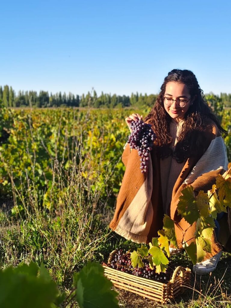 CONSTANZA DROGUETT MORALES, CANDIDATA REINA DE LA VENDIMIA QUILLÓN 2026
