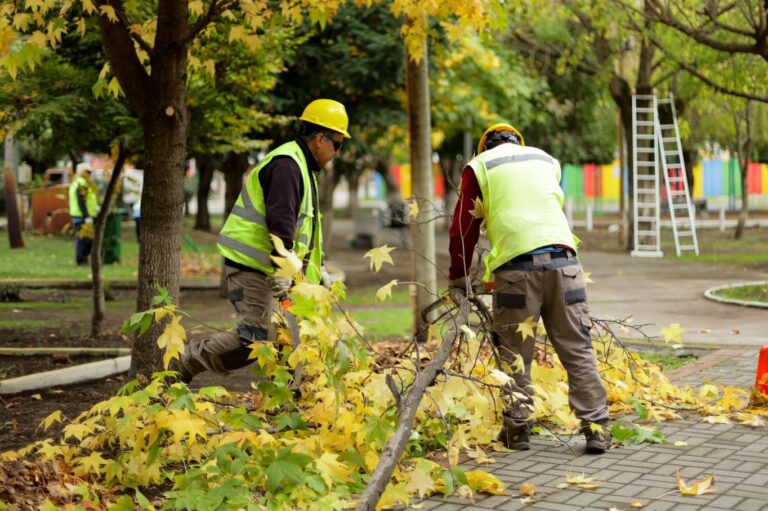 OPERATIVO DE LIMPIEZA Y HERMOSEAMIENTO EN VILLA PORTAL DEL VALLE