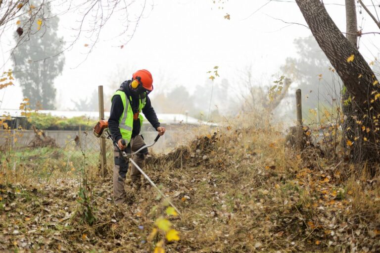 REALIZAMOS OPERATIVO DE LIMPIEZA EN LA ESPARRAGUERA