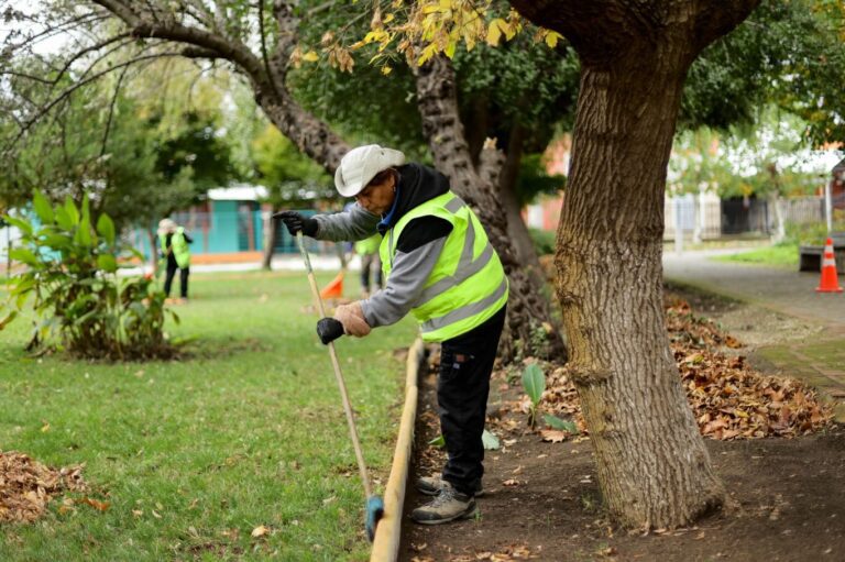 OPERATIVO DE LIMPIEZA Y HERMOSEAMIENTO EN VILLA PORTAL DEL VALLE
