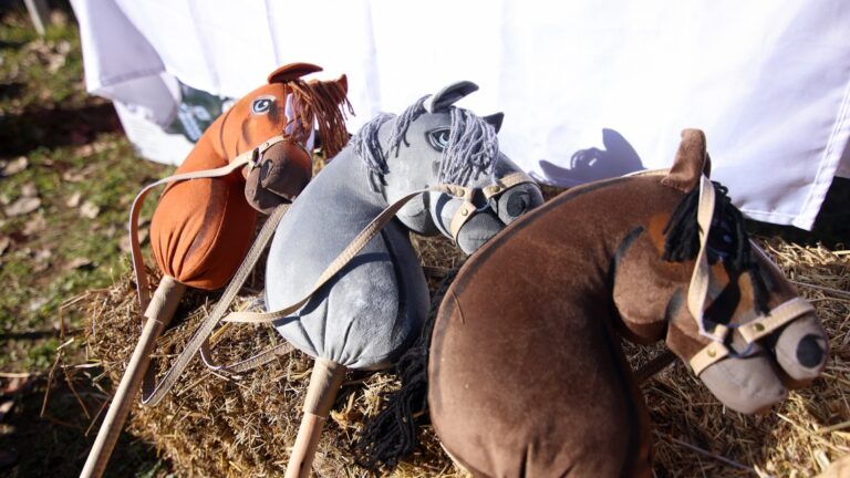 CABALLITOS DE PALO: UNA JORNADA PARA VIVIR Y COMPARTIR NUESTRAS TRADICIONES