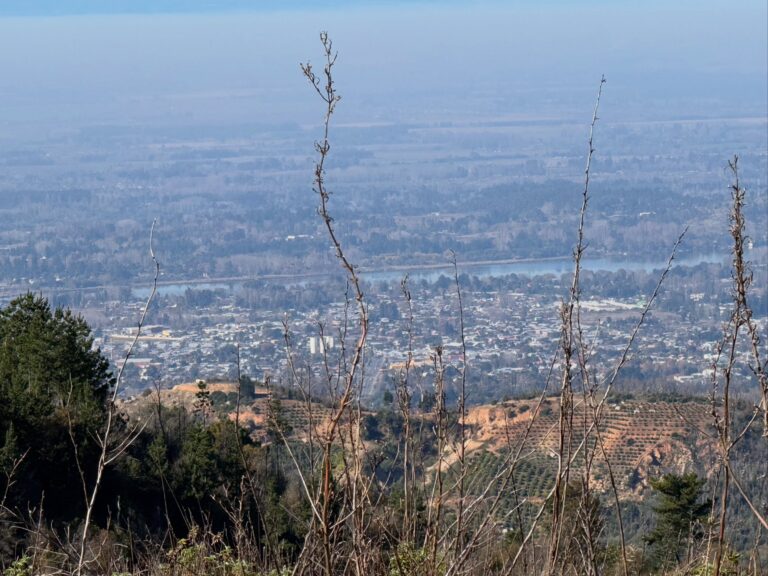 Recorrimos el lugar donde se proyecta el futuro Mirador Cerro Cayumanqui