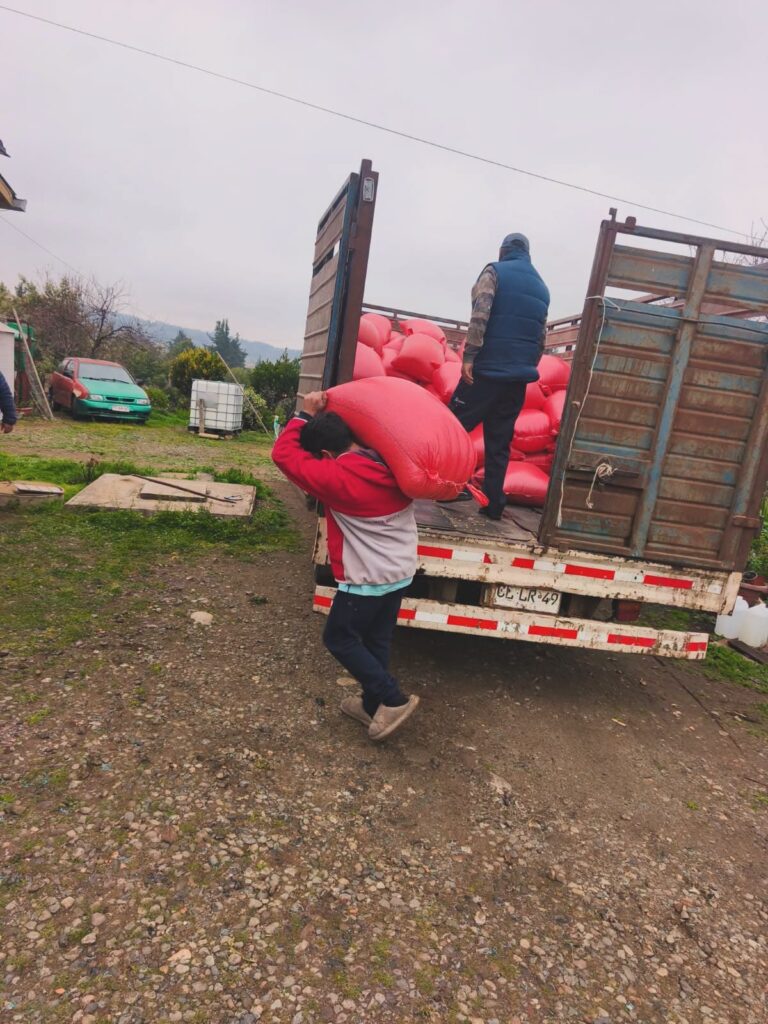 FORTALECEMOS LA AGRICULTURA LOCAL CON COMPRA ASOCIATIVA DE MAÍZ
