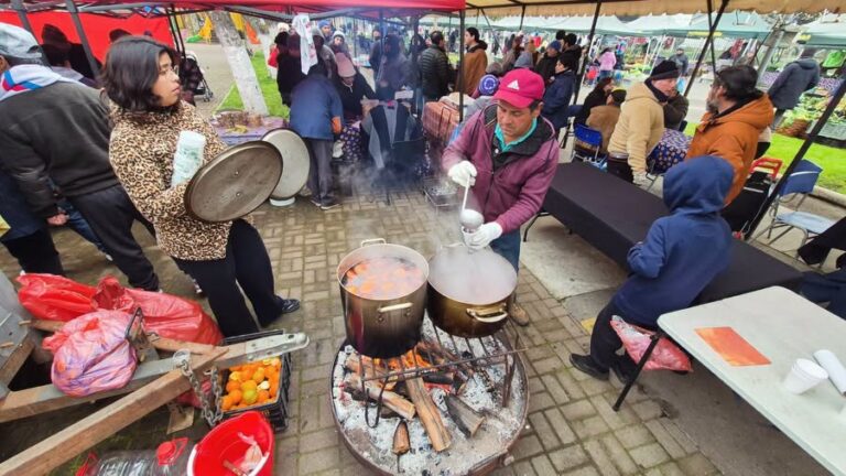 EXITOSA JORNADA DEL DÍA DE LA LEGUMBRE EN QUILLÓN