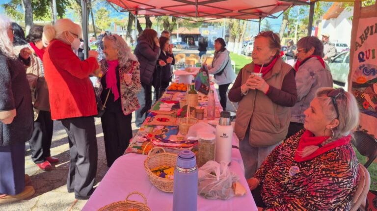 ARPILLERISTAS DE QUILLÓN CULMINAN PROYECTO “BORDANDO POR EL DÍA DE LA PAZ