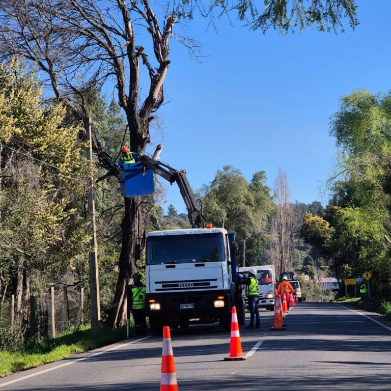 SEGUIMOS EN TERRENO POR NUESTRA COMUNIDAD