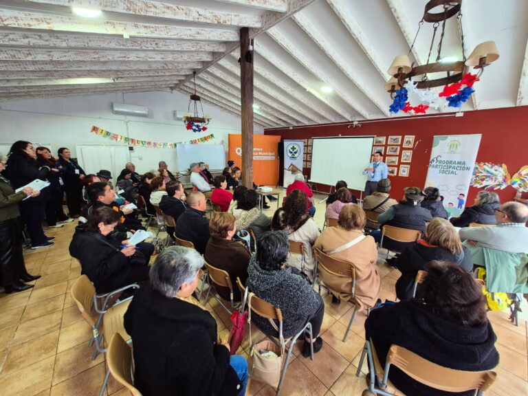 CONSEJO COMUNAL DE SALUD ABORDA NUEVOS SERVICIOS PARA QUILLÓN