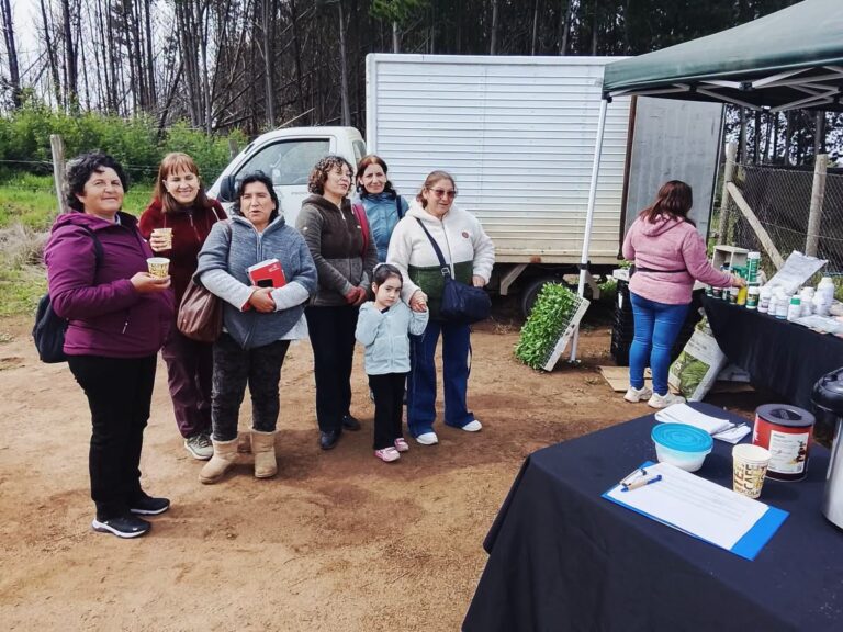 PRODESAL REALIZÓ DÍA DE CAMPO EN SECTOR LA PLAZA