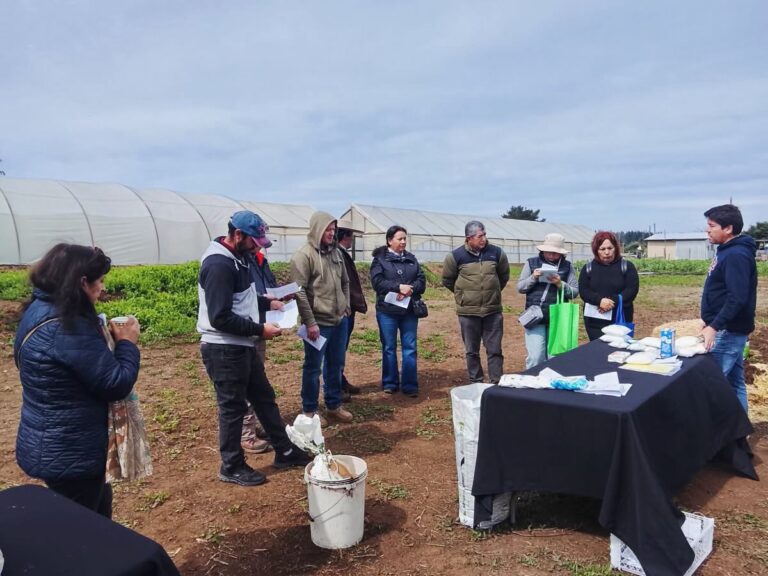 PRODESAL REALIZÓ DÍA DE CAMPO EN SECTOR LA PLAZA
