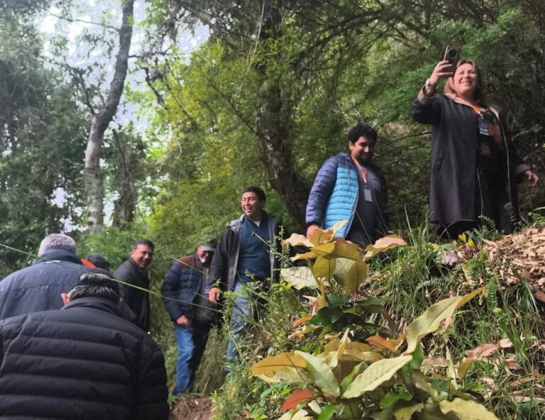 QUILLÓN IMPULSA LA INNOVACIÓN EMPRESARIAL Y EL EMPRENDIMIENTO EN FUTRONO